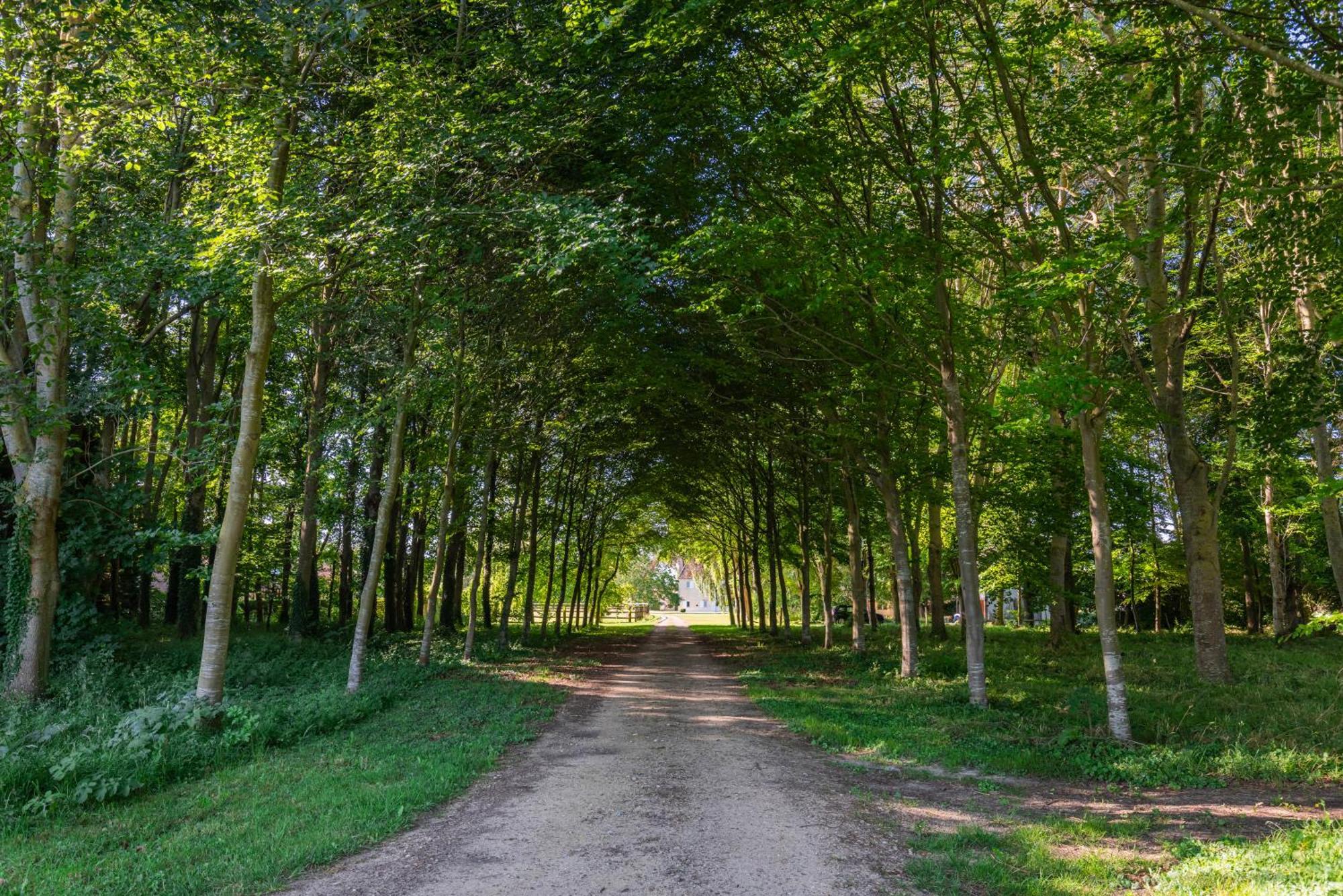 Maison "Jardin Gaillard" Bieville-en-Auge Exteriör bild