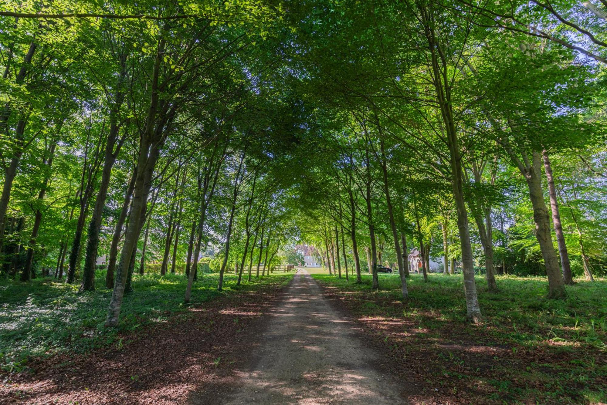 Maison "Jardin Gaillard" Bieville-en-Auge Exteriör bild